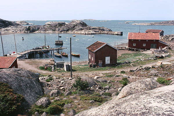 Kalvö